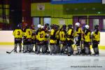 Photo hockey reportage Fem lite : L'Aigle vole tranquillement