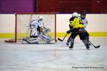 Photo hockey reportage Fem lite : L'Aigle vole tranquillement