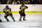 Photo hockey reportage Fem lite : L'Aigle vole tranquillement