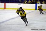 Photo hockey reportage Fem lite : L'Aigle vole tranquillement