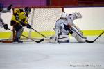 Photo hockey reportage Fem lite : L'Aigle vole tranquillement