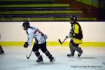 Photo hockey reportage Fem lite : L'Aigle vole tranquillement