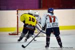 Photo hockey reportage Fem lite : L'Aigle vole tranquillement