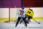 Photo hockey reportage Fem lite : L'Aigle vole tranquillement