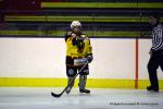 Photo hockey reportage Fem lite : L'Aigle vole tranquillement