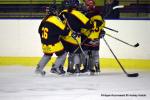 Photo hockey reportage Fem lite : L'Aigle vole tranquillement