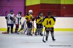 Photo hockey reportage Fem lite : L'Aigle vole tranquillement