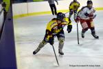 Photo hockey reportage Fem lite : L'Aigle vole tranquillement