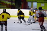 Photo hockey reportage Fem lite : L'Aigle vole tranquillement