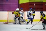 Photo hockey reportage Fem lite : L'Aigle vole tranquillement