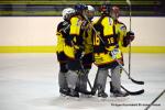 Photo hockey reportage Fem lite : L'Aigle vole tranquillement