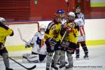 Photo hockey reportage Fem lite : L'Aigle vole tranquillement