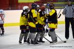 Photo hockey reportage Fem lite : L'Aigle vole tranquillement