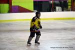 Photo hockey reportage Fem lite : L'Aigle vole tranquillement