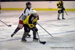 Photo hockey reportage Fem lite : L'Aigle vole tranquillement