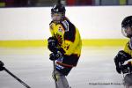 Photo hockey reportage Fem lite : L'Aigle vole tranquillement