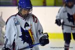 Photo hockey reportage Fem lite : L'Aigle vole tranquillement