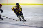 Photo hockey reportage Fem lite : L'Aigle vole tranquillement