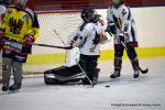 Photo hockey reportage Fem lite : L'Aigle vole tranquillement