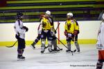 Photo hockey reportage Fem lite : L'Aigle vole tranquillement