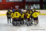 Photo hockey reportage Fem lite : L'Aigle vole tranquillement