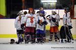 Photo hockey reportage Fem lite : L'Aigle vole tranquillement