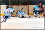 Photo hockey reportage Fminines : Neuilly / Marne - Tours