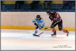 Photo hockey reportage Fminines : Neuilly / Marne - Tours