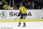 Photo hockey reportage FINALE CDL  - GALERIE Claude Ares