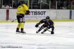 Photo hockey reportage FINALE CDL  - GALERIE Claude Ares