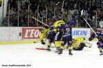 Photo hockey reportage FINALE CDL  - GALERIE Claude Ares