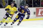 Photo hockey reportage FINALE CDL  - GALERIE Claude Ares