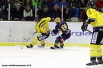 Photo hockey reportage FINALE CDL  - GALERIE Claude Ares