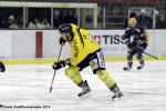 Photo hockey reportage FINALE CDL  - GALERIE Claude Ares