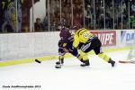 Photo hockey reportage FINALE CDL  - GALERIE Claude Ares