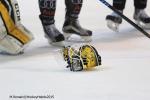Photo hockey reportage Finale Conti Cup J2 Match4 : Une fin haletante