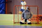 Photo hockey reportage Floorball : Les Dragons grondent