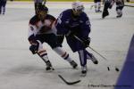 Photo hockey reportage France - Pays Bas : Reportage photos