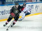 Photo hockey reportage Grenoble rsiste face  l'AHL