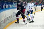 Photo hockey reportage Grenoble rsiste face  l'AHL