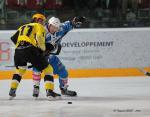 Photo hockey reportage L'Aigle dplume les Rapaces