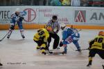 Photo hockey reportage L'Aigle dplume les Rapaces