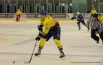 Photo hockey reportage La rentre des Vipers