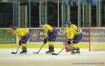 Photo hockey reportage La rentre des Vipers