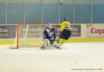 Photo hockey reportage La rentre des Vipers