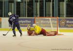 Photo hockey reportage La rentre des Vipers