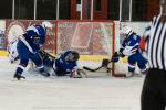 Photo hockey reportage Le grand chelem des Bleues