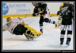 Photo hockey reportage Les Dragons : Premire glace en images...