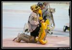 Photo hockey reportage Les Dragons : Premire glace en images...