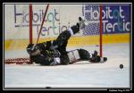 Photo hockey reportage Les Dragons : Premire glace en images...